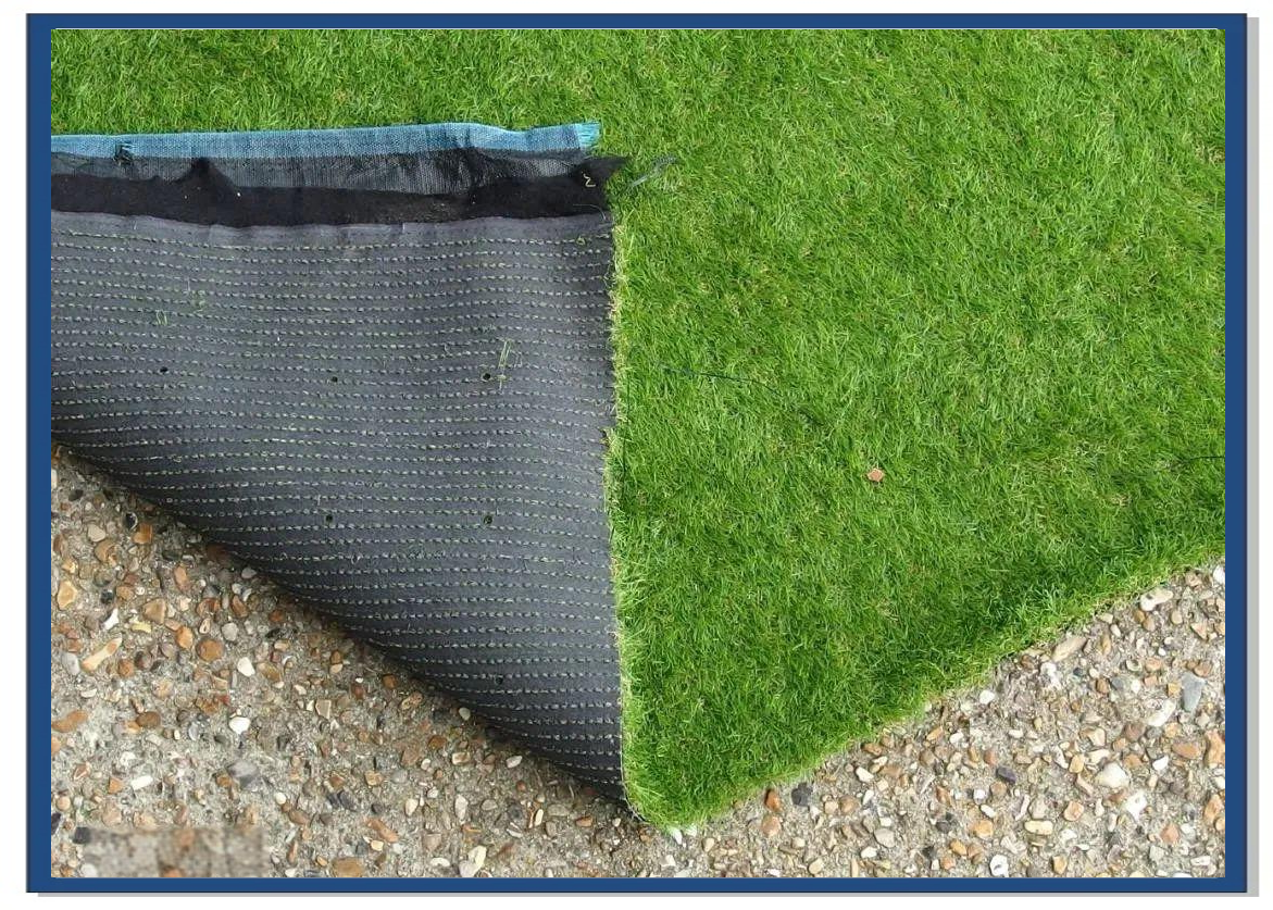 混合草皮混合草坪