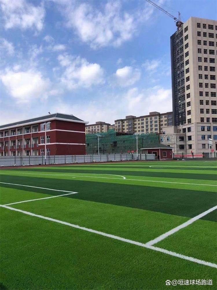 手机买球-草地球场草坪(píng)的(de)地球
