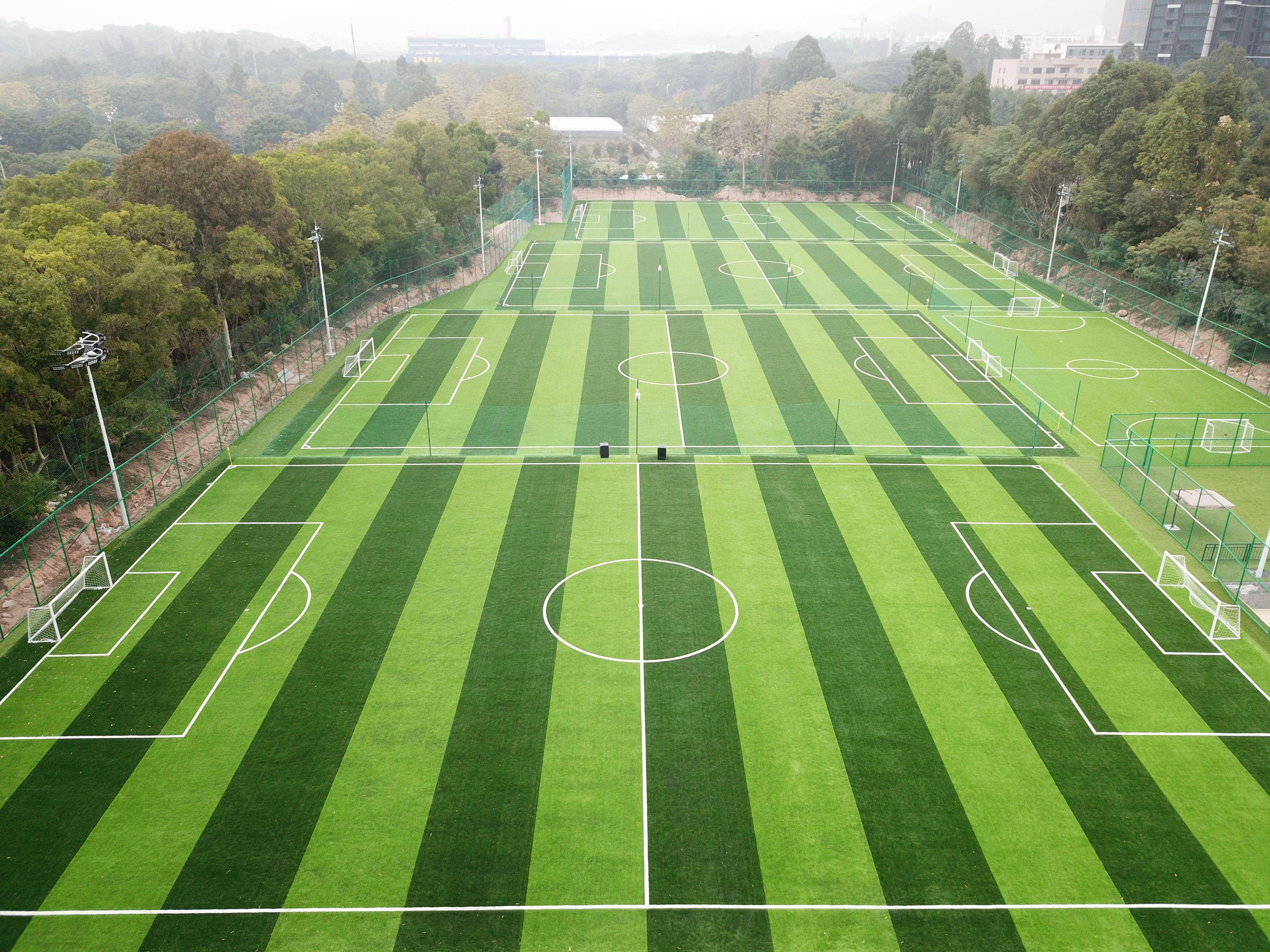 草地球场草坪的地球 草地球场草坪的地球