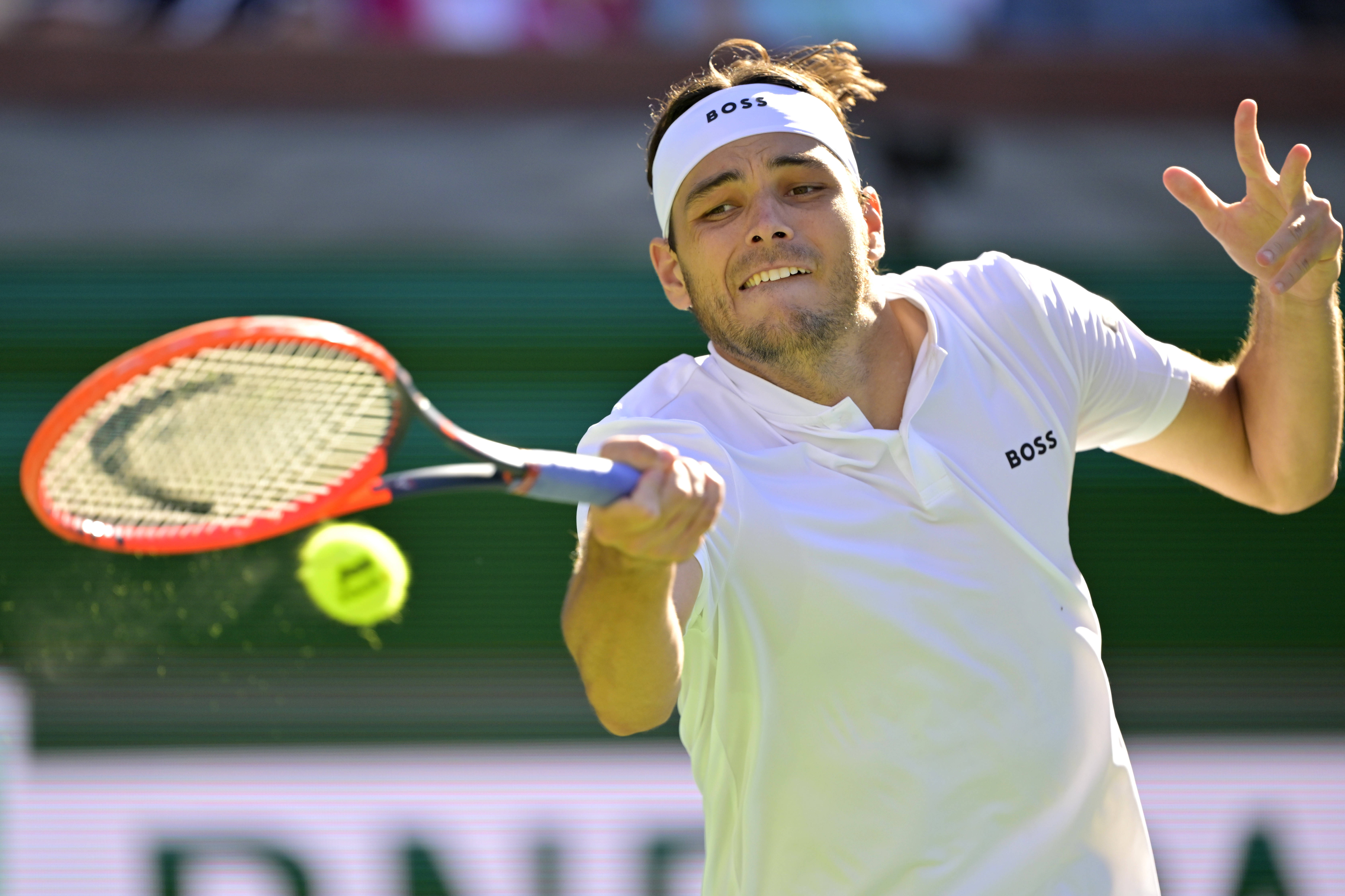 买球-弗(fú)裡(lǐ)茨弗(fú)裡(lǐ)茨哈勃